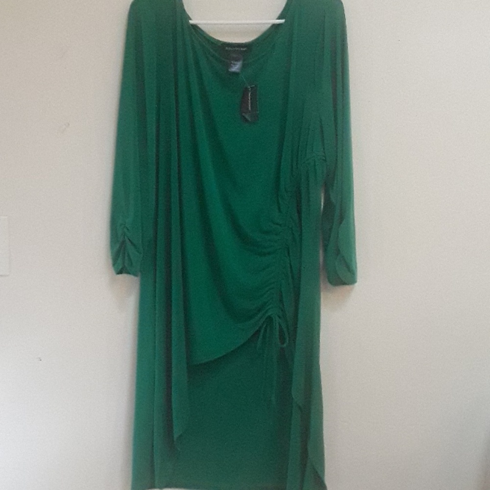 Ashley Stewart Tunic